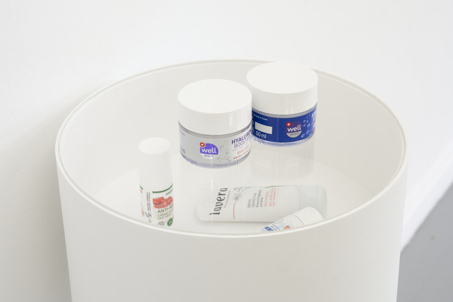 Costanza Candeloro, Expectation / Access, CEC, 2025. Photo : Guillaume Python. Courtesy Centre d’édition contemporaine, Geneva