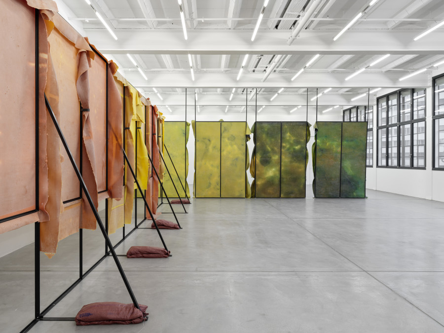 Installation view, Liesl Raff, A Corridor, a Room, and Four Dens, Galerie Eva Presenhuber, Maag Areal, Zurich, 2025. © Liesl Raff. Courtesy the artists and Galerie Eva Presenhuber, Zurich / Vienna. Photo: Stefan Altenburger Photography, Zürich