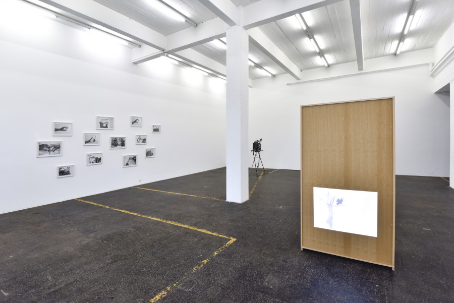 Gernot Wieland «Diebstahl und Gesänge», exhibition view, 2020. Courtesy: the artist. Photo: Kunst Halle Sankt Gallen, Sebastian Schaub