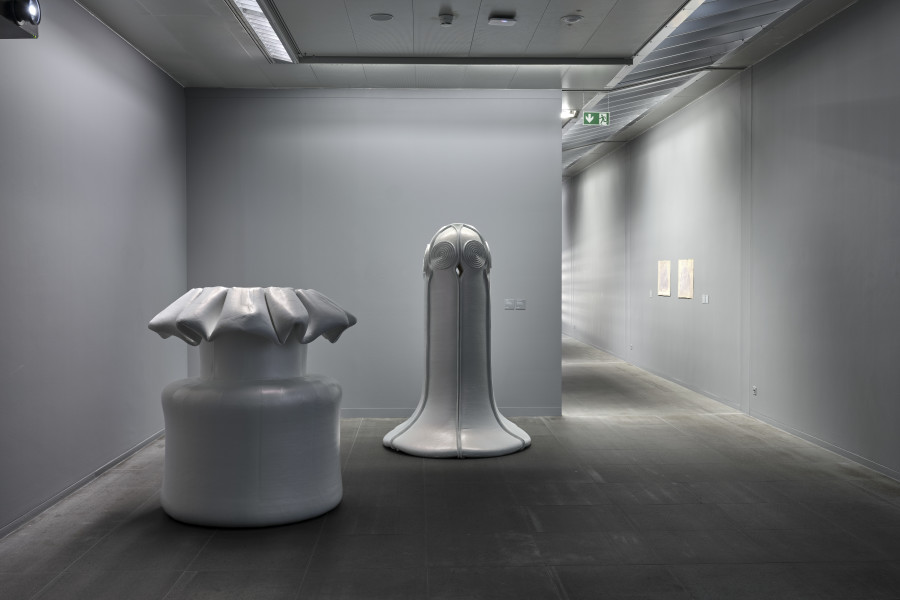 Installation view, Heidi Bucher, Metamorphoses II, Kunstmuseum Bern, 2022. Photo credit: Rolf Siegenthaler, © Kunstmuseum Bern
