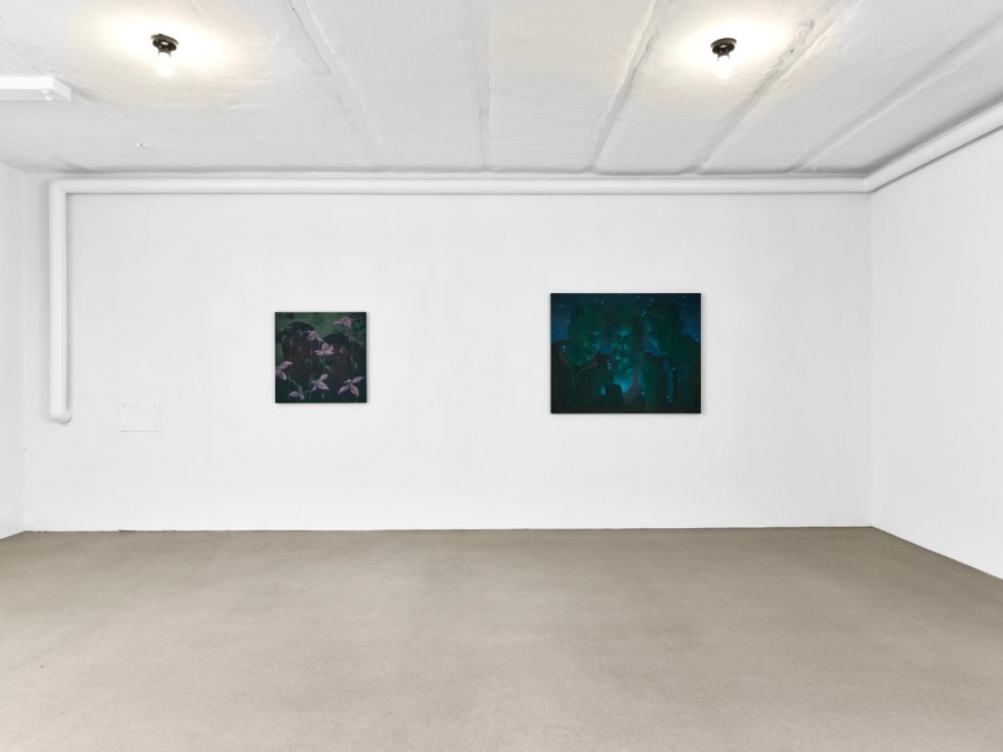 Exhibition view, David Weishaar, Eyelids, towards Night, flatmarkus, Zürich, 2026.