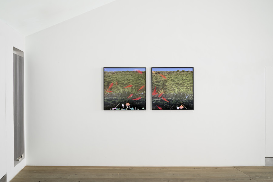 Exhibition view, Su-Mei Tse, Gaze into deep, 2022, c-print, wooden frame, museum glass, 81.5 x 81.5 cm x 4 cm each, 80 x 173.5 cm overall, 1/5. Photo: Ralph Feiner, Courtesy of the artist and Galerie Tschudi