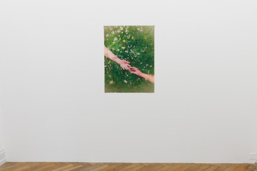 May Your Dream Come, installation view: Jennifer Merlyn Scherler, So long we become the flowers (In A Week), 2023, Kunsthalle Palazzo 2023, photo: Jennifer Merlyn Scherler