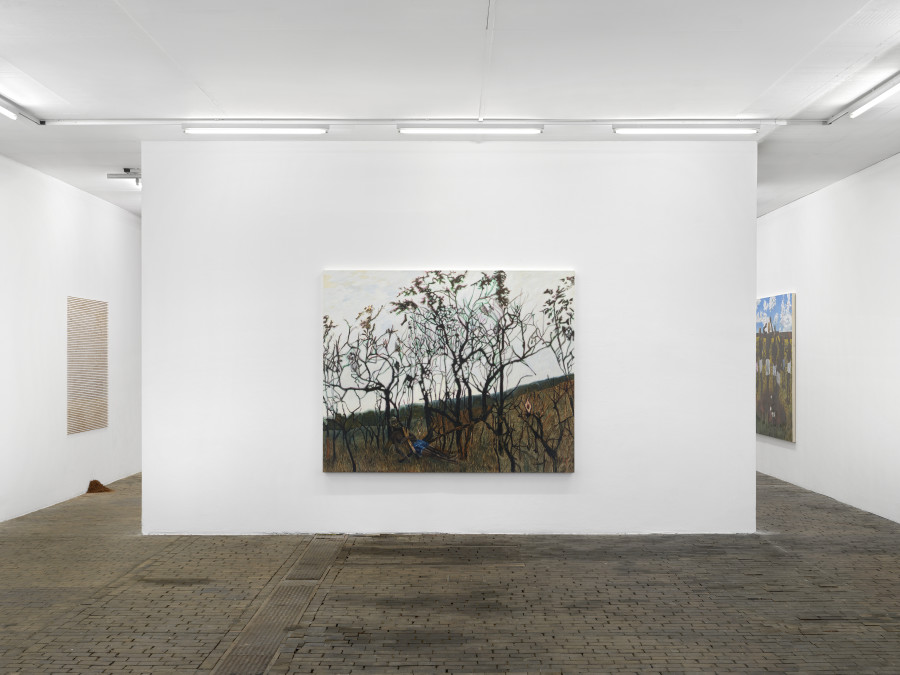 Exhibition view of Rituals of Care by Antonio Obá at Centre d’Art Contemporain Genève (November 16, 2024-February 16, 2025). © Centre d’Art Contemporain Genève. Photo: Annik Wetter