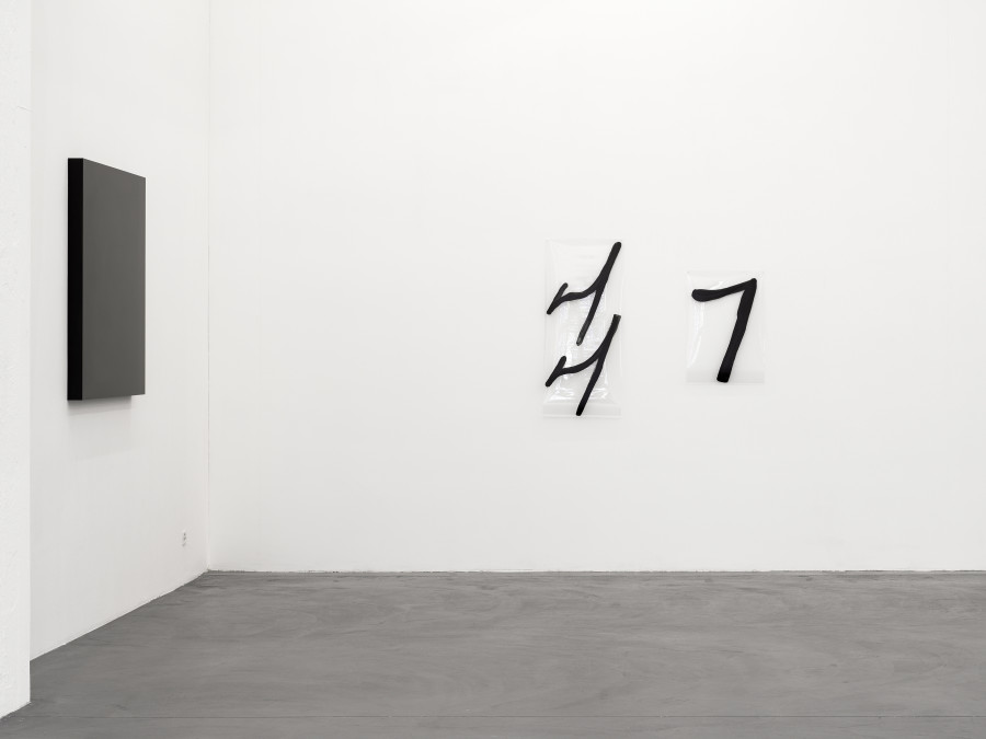 Installation view, Dietrich, curated by Anne Pontégnie, Galerie Francesca Pia, Zurich, 2024. Photo: Cedric Mussano