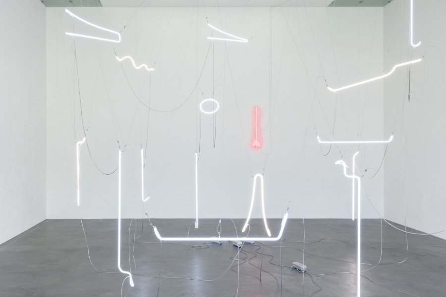 Zora Berweger, Roots, 2023, Drahtseile, Kabel, Neon, Transformer / Wire ropes, cables, neon, transformers Auflage 2 + 1 AP Variable Masse / Variable dimensions. Courtesy the artist. Foto / photo: Stefan Rohner