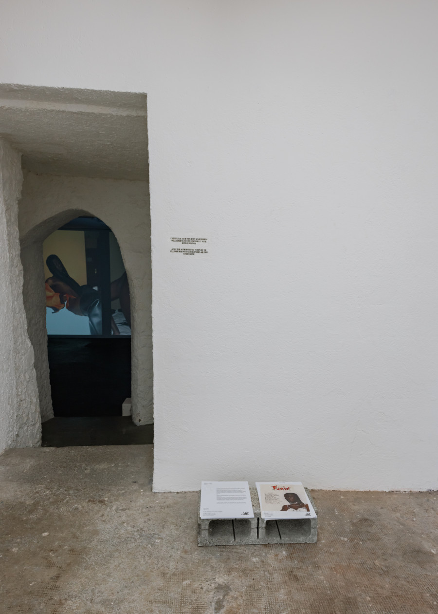 Exhibition view « Suis-moi je te fuis !!!! Suis-moi je te fuis !! Suis moi je te guette ! », Fribourg, 2026 / Photo : Julie Folly / Courtesy : the artists and WallStreet