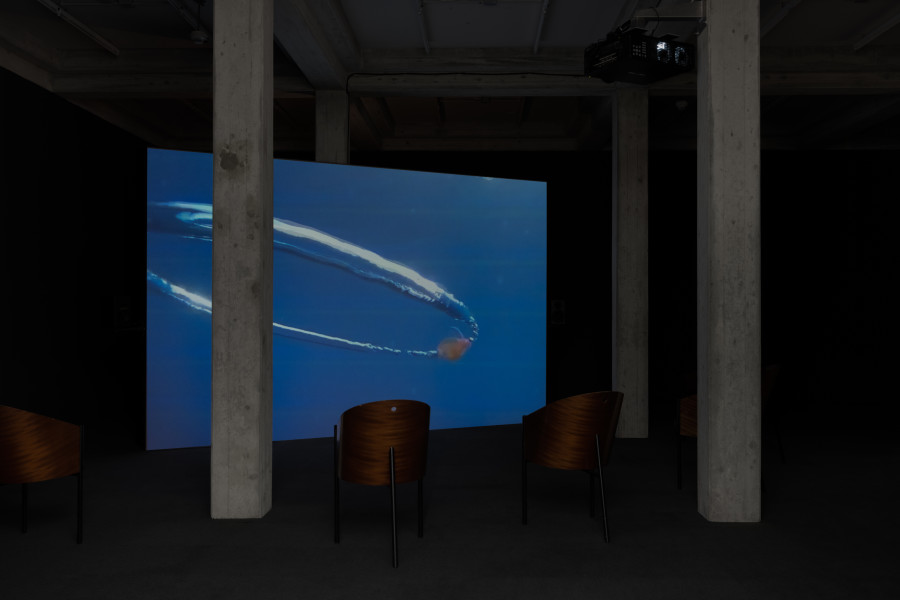 Jiajia Zhang, Between the Acts, 2022, Kunstmuseum St. Gallen, Photo: Sebastian Stadler