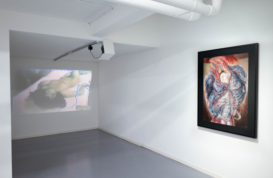 Exhibition view, Sibylle Ruppert, The Bible of Evil, Blue Velvet Projects, 2022. Photo credit: Flavio Karrer