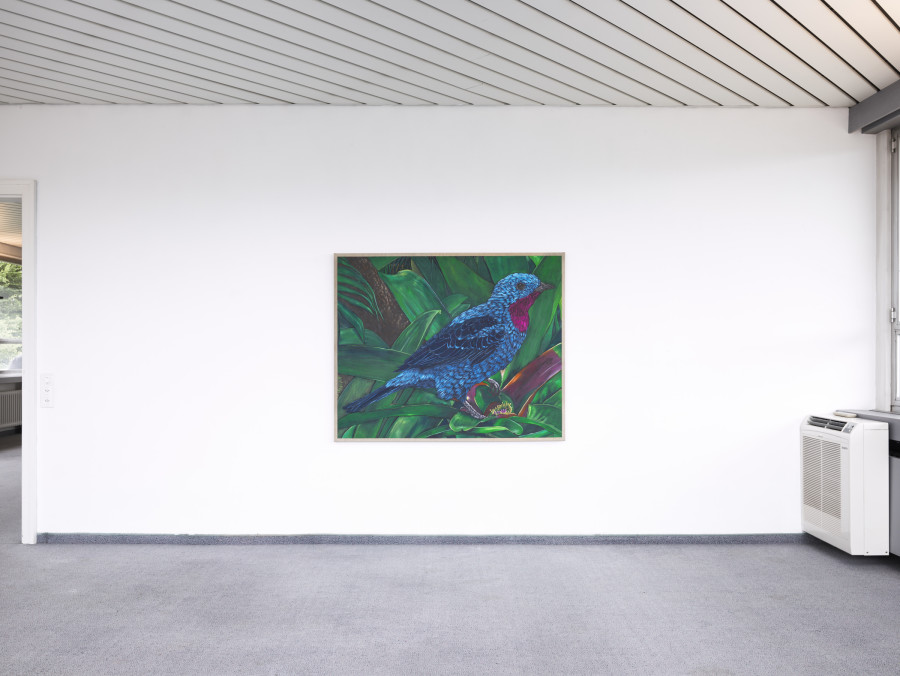 Exhibition view, Matteo Callegari, Mother, flatmarkus, Kilchberg / Zürich, 2024. Photo credit: Felix Jungo. Courtesy of the artist and flatmarkus