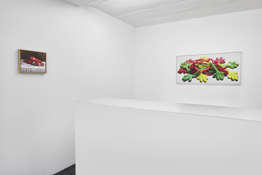 Exhibition view, Till Rabus, Cartoon, galerie lange + pult, Auvernier, 2025. Photo credit: Sully Balmassière