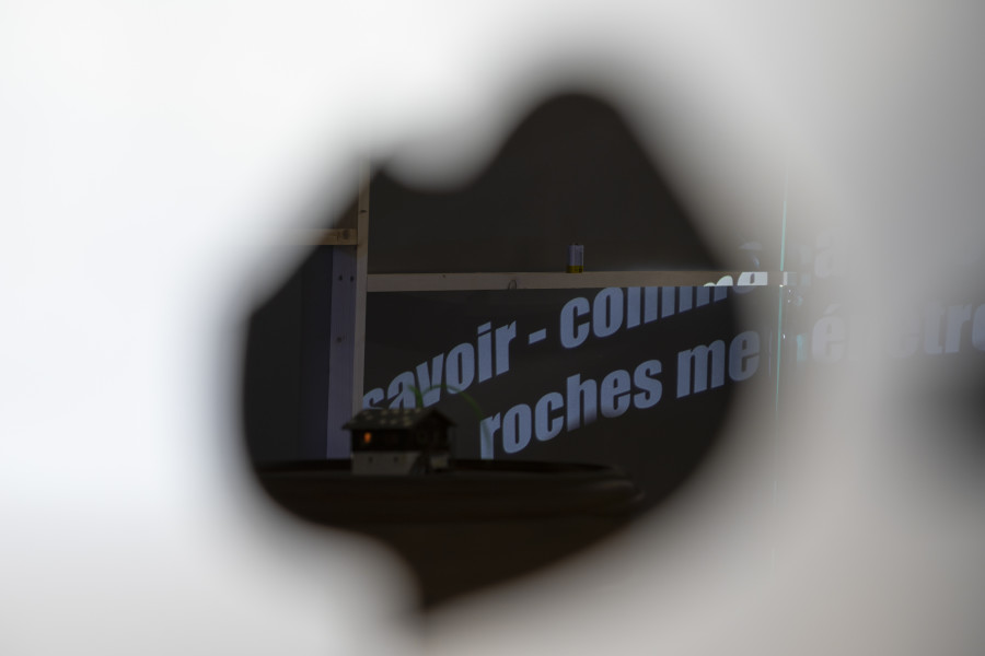 Rebecca Solari, POGO NEL BRODO, KRONE COURONNE, 2025. Credit photo: © Michal Schorro