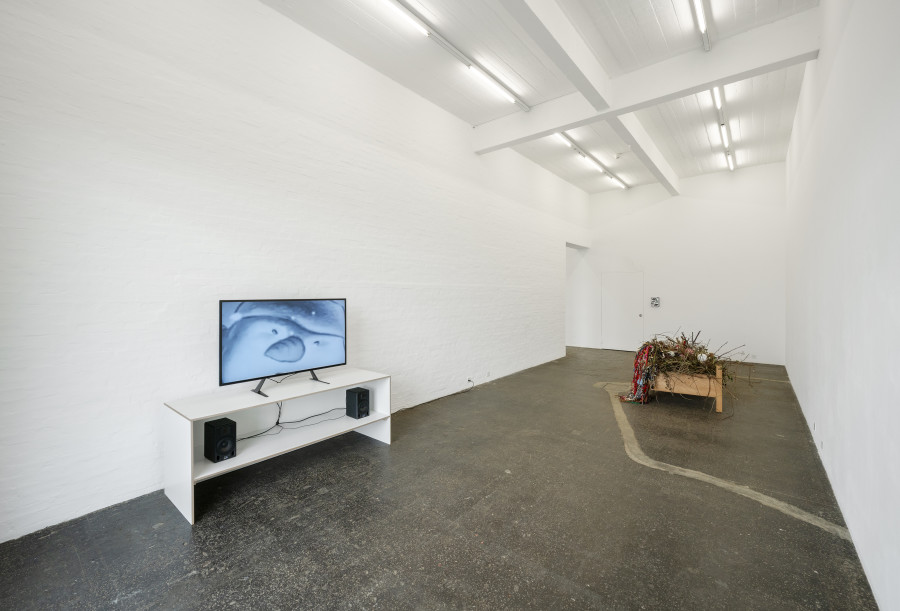 «Containers Love Disorder», exhibition view, 2026. Photo: Kunst Halle Sankt Gallen, E. Sommer.