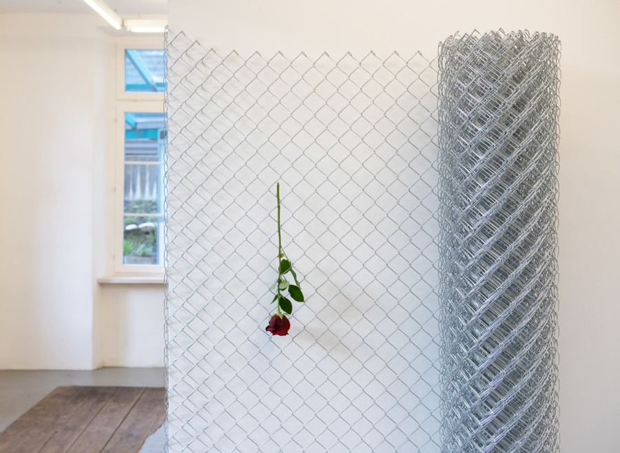 Exhibition view, David Weishaar, The Rose is without ‘Why’, KALI Gallery, 2022. Photo credit @vogeleye and @KALI Gallery Lucerne