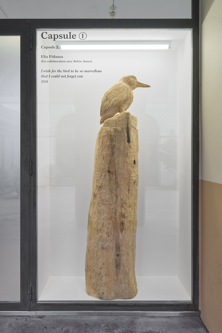 Exhibition view, Elia Fidanza, wish for the bird to be so marvellous that I could not forget you, Halle Nord, 2024. Photo credit: Thomas Maisonnasse