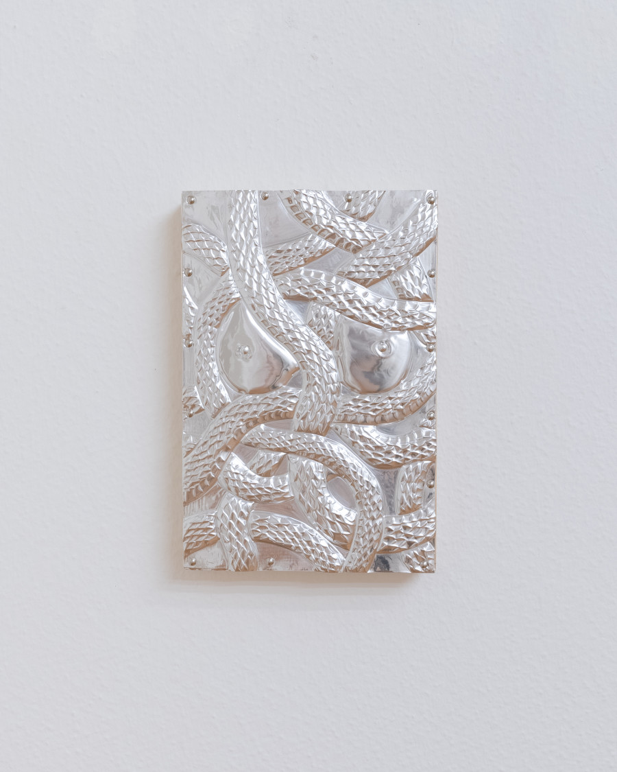 Paula Santomé, Ecdysis XII, 2024, Handmade aluminium embossing, 20 x 30 cm.