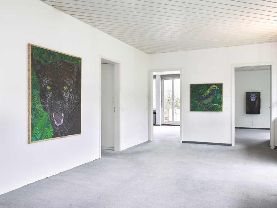 Exhibition view, Matteo Callegari, Mother, flatmarkus, Kilchberg / Zürich, 2024. Photo credit: Felix Jungo. Courtesy of the artist and flatmarkus