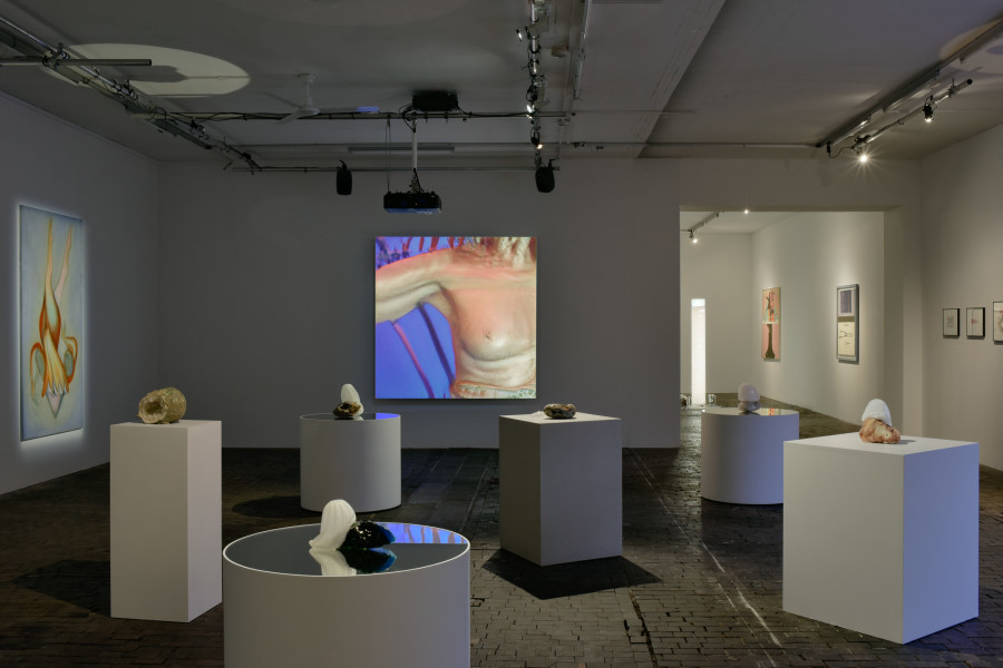 Exhibition view of Chrysalis: The Butterfly Dream at Centre d’Art Contemporain Genève (January 25‒June 4, 2023). © Centre d’Art Contemporain Genève. Photo: Mathilda Olmi