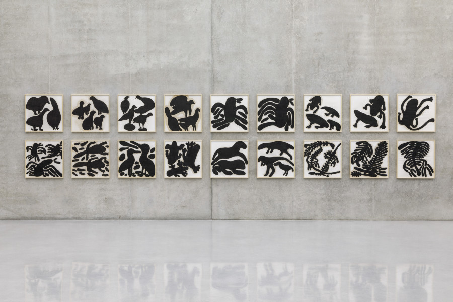 Solange Pessoa, Untitled, from the series Animal, 2004–2008, Installation view third floor Kunsthaus Bregenz, 2023. Photo: Markus Tretter. Courtesy of the artist, Mendes Wood DM. © Solange Pessoa, Kunsthaus Bregenz