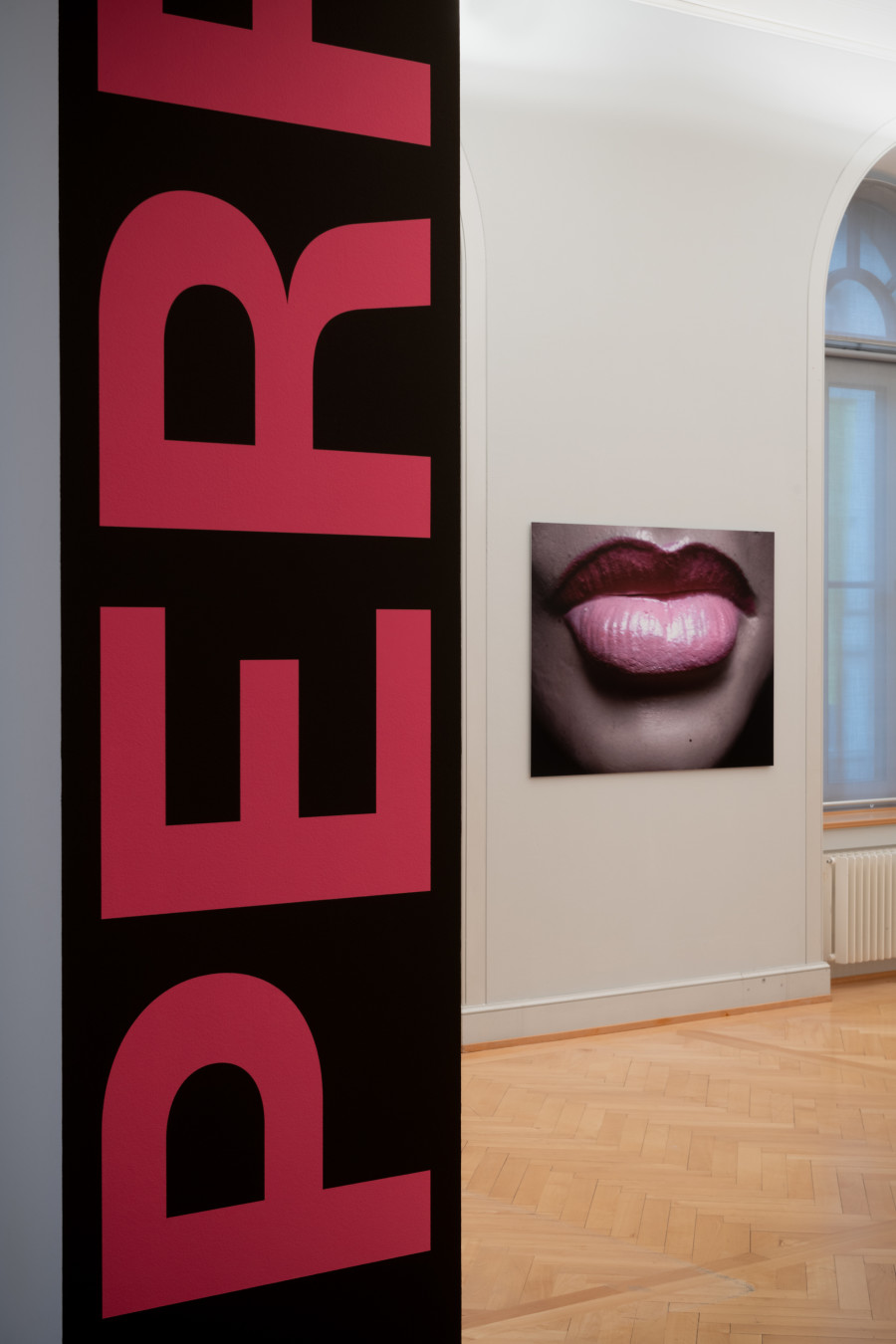 Perfect Love, Installation view Kunstmuseum St.Galien, Photo: Sebastian Stadler