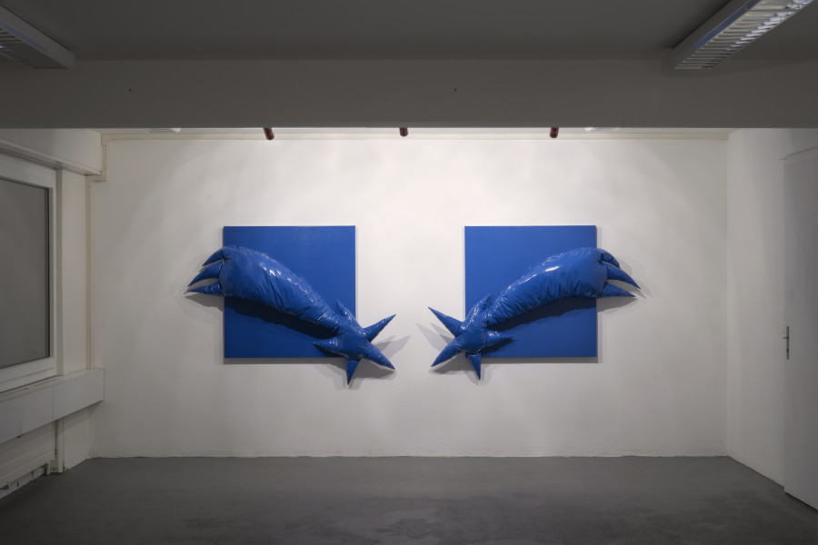 Emanuele Marcuccio – Cometa Blu I&II, 2020