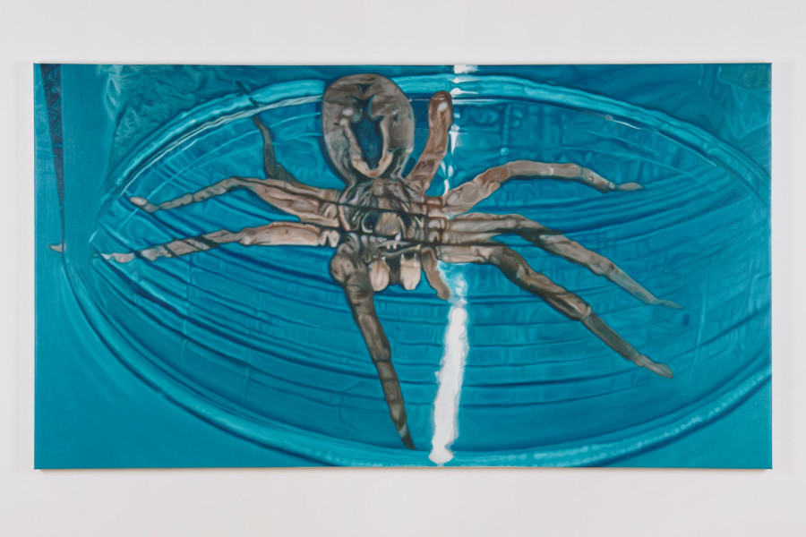 Hamishi Farah, Spider under Glass, 2021, Fri Art, 2021. Photo Guillaume Python. Courtesy of Fri Art Kunsthalle