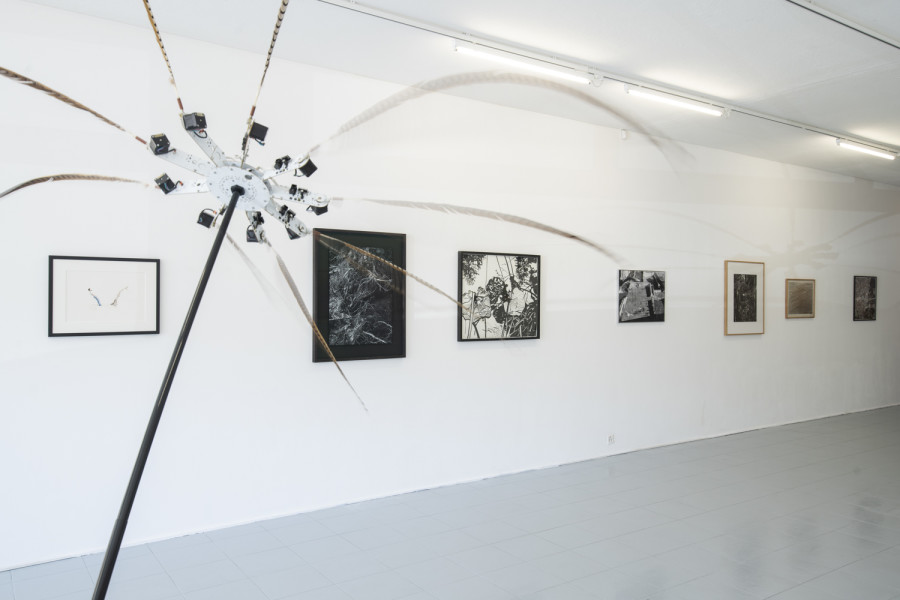 Installation view, INTO THE WILD, Wilde, 2022. Photo: Grég Clement