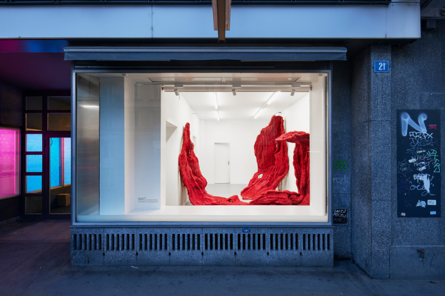 Soojin Kang, Installation view @ jevouspropose, Zurich, 2022. Courtesy: the artist and Ben Hunter, London. Photo: Hannes Heinzer