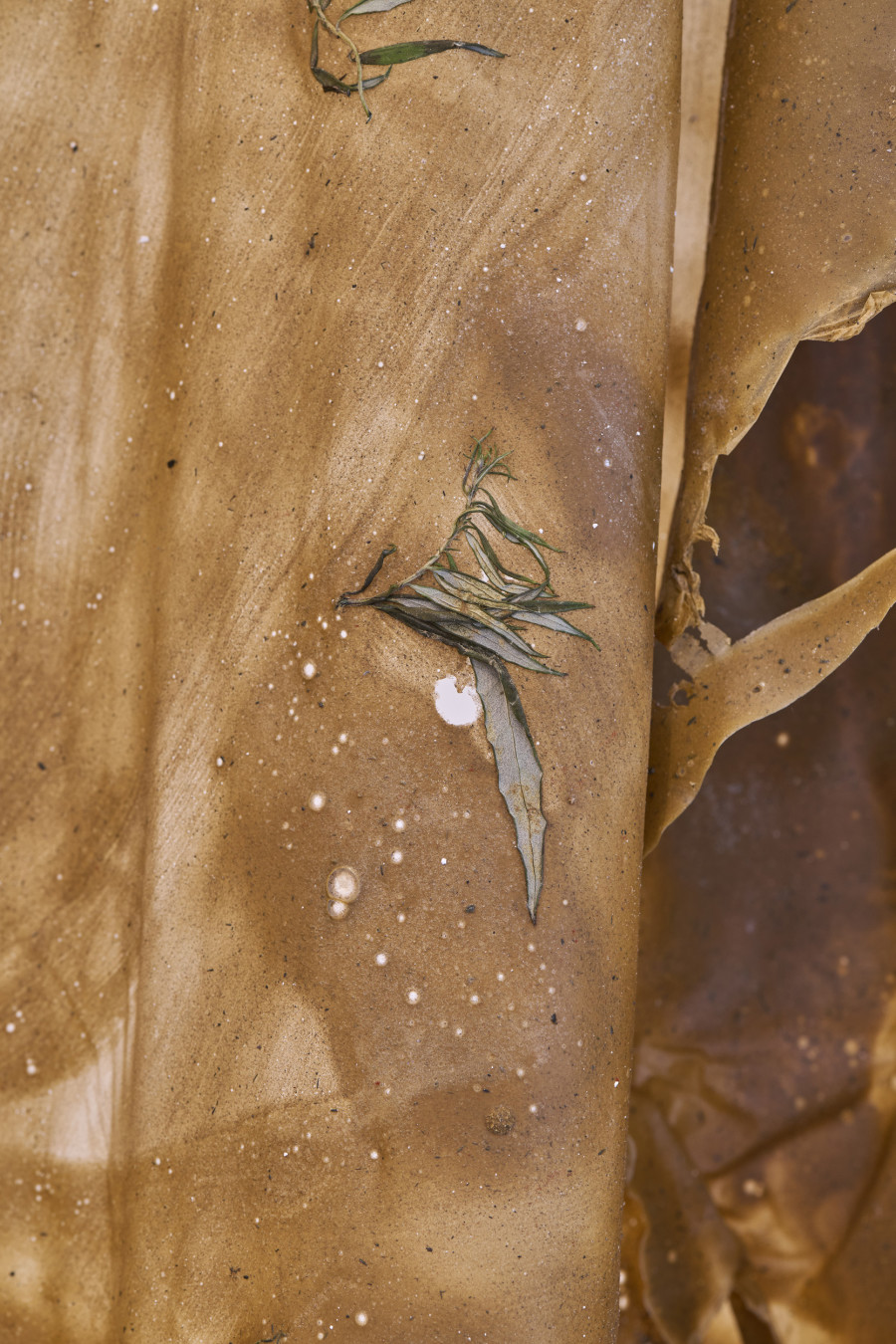 Exhibition view, Viola Poli, sous(p)eau, Halle Nord, 2024. Photo credit: Thomas Maisonnasse