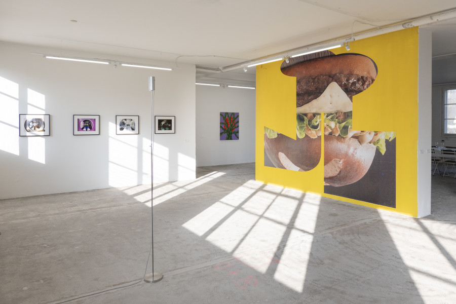 Exhibition view, SPRING EQUINOX II, suns.works, Zürich, 2025. ©2025 suns.works and the artists. Photography: Claude Barrault