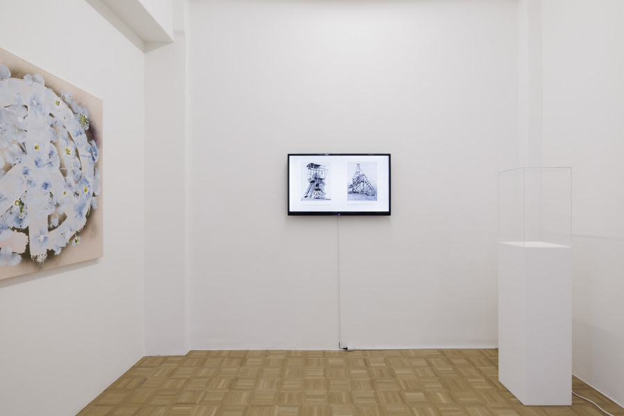 Installation view, Great Works, Galerie Oskar Weiss, 2025. Photo credit: Gina Folly