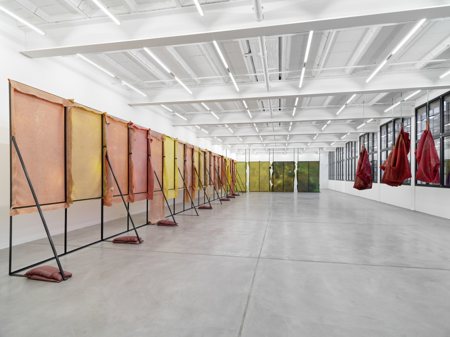 Installation view, Liesl Raff, A Corridor, a Room, and Four Dens, Galerie Eva Presenhuber, Maag Areal, Zurich, 2025. © Liesl Raff. Courtesy the artists and Galerie Eva Presenhuber, Zurich / Vienna. Photo: Stefan Altenburger Photography, Zürich