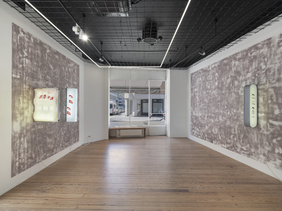 Exhibition view, Gina Proenza, Patron / Partner, galerie lange + pult, Geneva, 2026. Photo credit: © Julien Gremaud