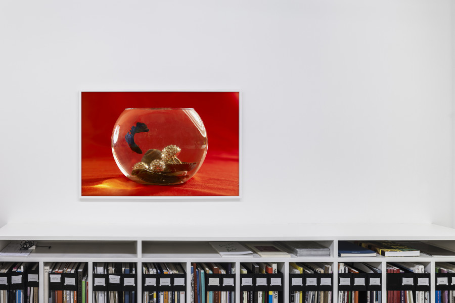 Exhibition view, Roe Ethridge, Sensible Shoes at Mai 36 Galerie, Zurich. Photo Credits: Peter Baracchi. Courtesy of the artist and Mai 36 Galerie