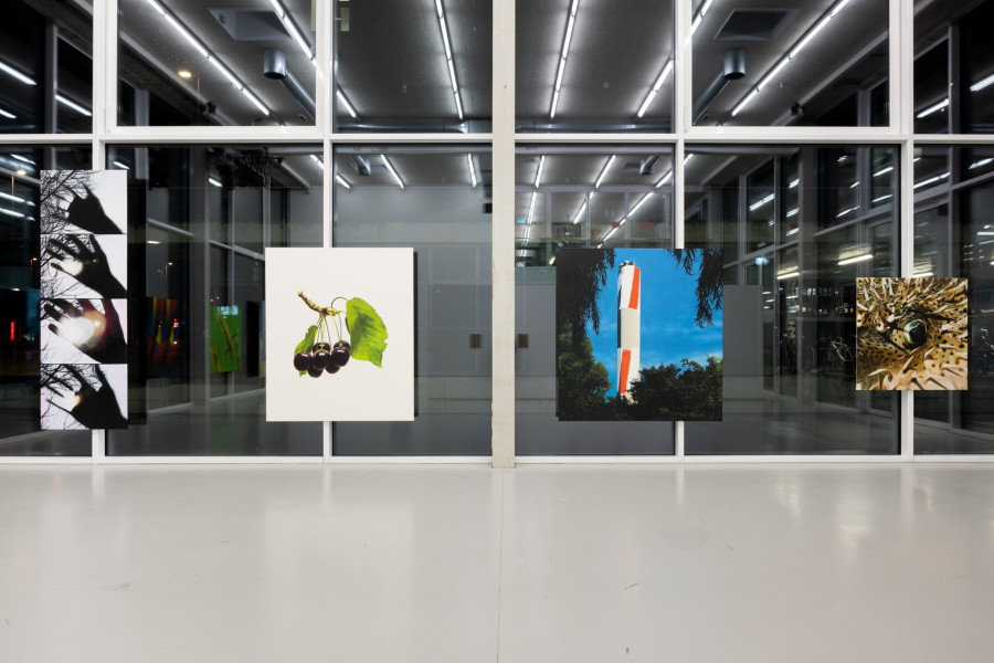 Installation view Diogo Pinto Cherrypickers, der TANK, Institute Art Gender Nature HGK Basel FHNW, Basel, 2024, photo: Finn Curry