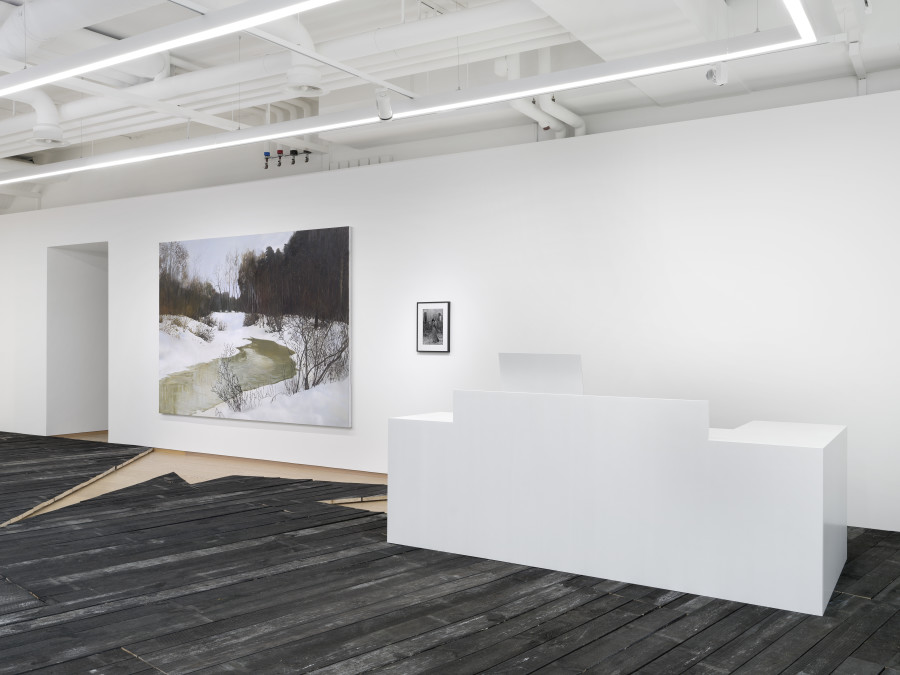 Installation view, Paulina Olowska and Deborah Turbeville, Widows of the Wind, Pace Gallery, 2024-2025. Photo credit: Annik Wetter. Courtesy of Pace Gallery, Paulina Olowska and Deborah Tuberville / MUUS Collection