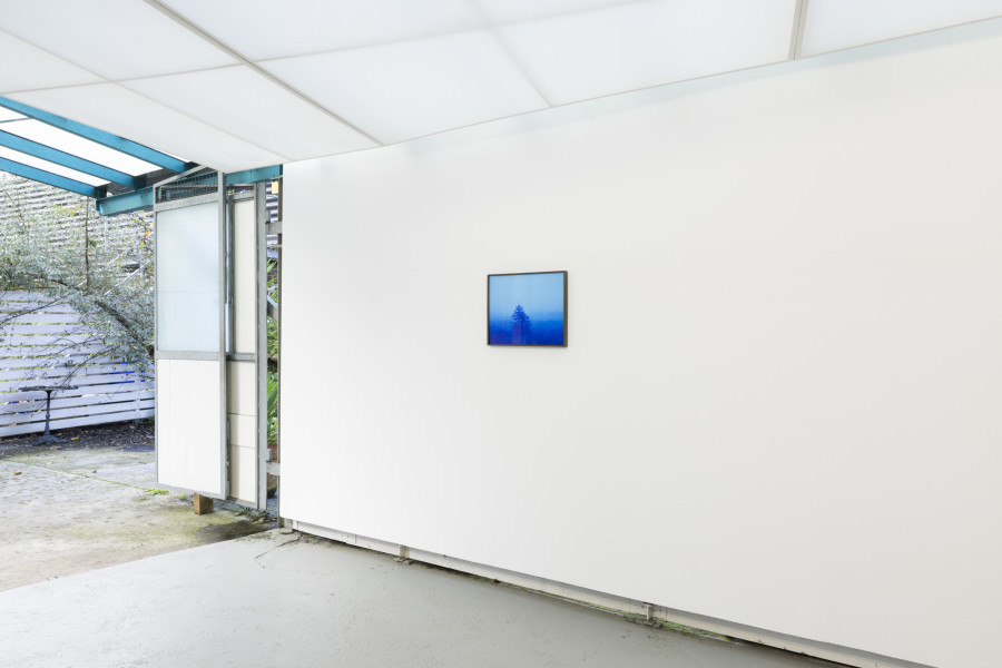 Installation view, Malte Bartsch, T.I.N.A., KALI Gallery, 2024.