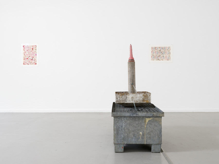 View of the exhibition Timothée Calame, Gymnique Incontinentale, CEC, 2025. Courtesy Centre d’édition contemporaine, Geneva. Photo : © Sandra Pointet