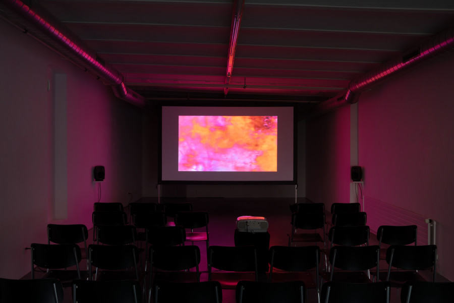 Mark Leckey, Fiorucci Made Me Hardcore, 1999, 4:3 (colour, sound), 14:45’, Courtesy of the artist and Galerie Buchholz. Photo credits: marytwo