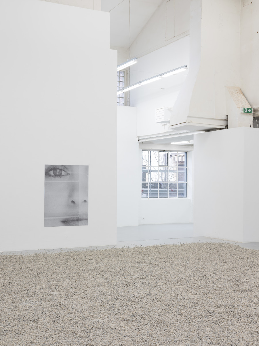 Window Grey, Pierre-Olivier Arnaud, Mio Chareteau, exhibition view, 2023 Photo: Sebastian Verdon.