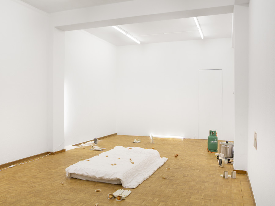 Installation view, Céline Mathieu, Economy of Means, Sentiment, 2022-2023. Photo credit: Philipp Rupp/Julien Gremaud. Courtesy of the artist and Sentiment