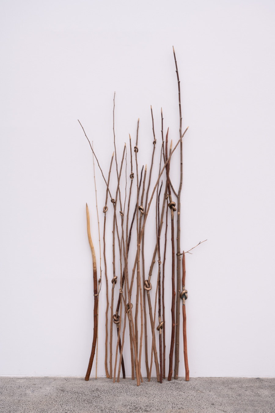 Eva Lootz. Sin título (Ramas con nudos de bronce), 1994. Courtesy the artist. Ausstellungsansicht / Installation view Kunsthaus Baselland 2025. Foto / Photo: Finn Curry