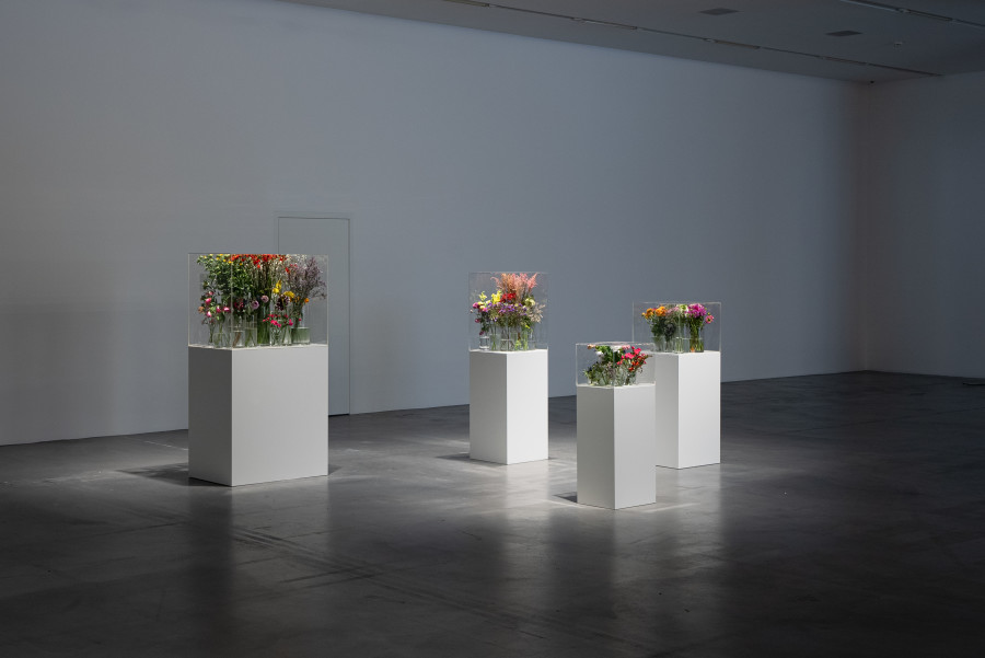 Exhibition view Interdependencies: Perspectives on Care and Resilience, Jesse Darling, Untitled (still life), 2018 - ongoing, Flowers, vases, water, vitrines. Courtesy the artist and Arcadia Missa, London. Photo: Studio Stucky