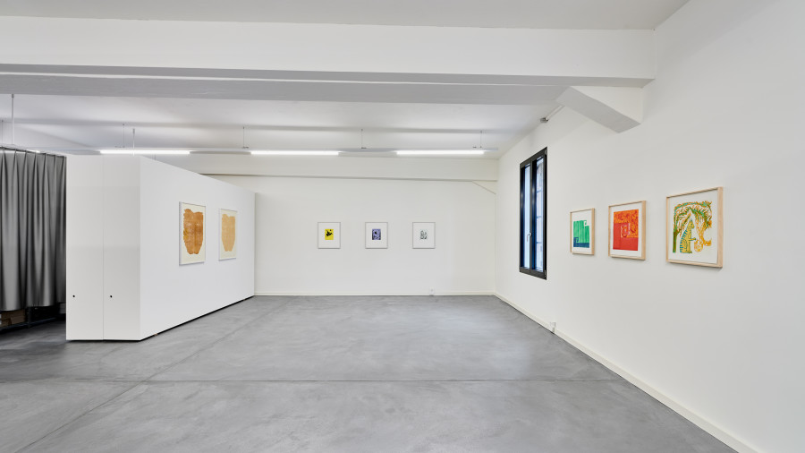 Installation view "Echoes of Imagination", Mai-Thu Perret, Gregor Hildebrandt, Franziska Furter, Dove Allouche; Photo: Bernhard Strauss
