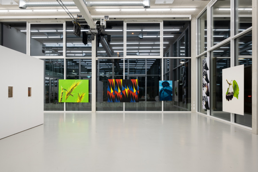 Installation view Diogo Pinto Cherrypickers, der TANK, Institute Art Gender Nature HGK Basel FHNW, Basel, 2024, photo: Finn Curry