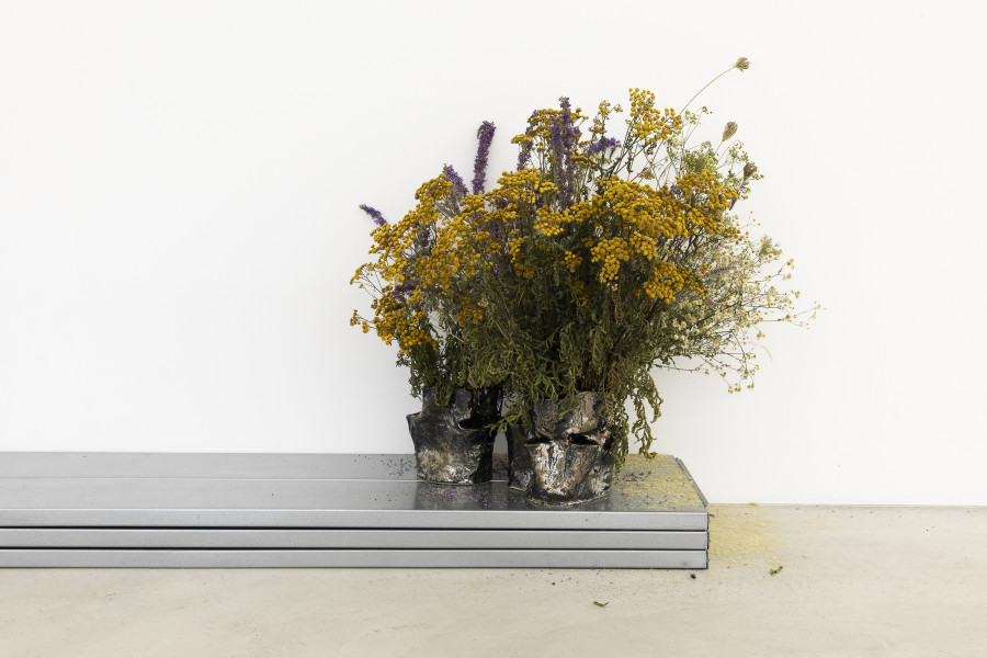 Installation view, Leonardo Bürgi Tenorio, end of summer glazed, ceramic, ruderal flowers, water, variable dimensions, Margherita Raso Sidesteps, metal shelves, 266 x 40 x 10 cm, 2024. Photo credit: Nina Rieben ©