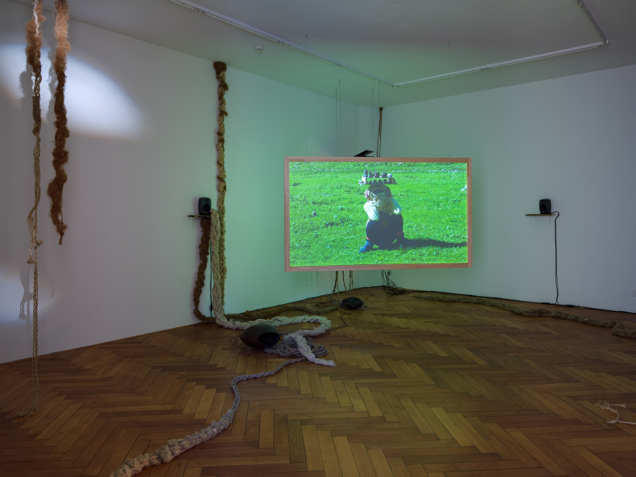 Vanessà Heer, Von Schand und Schuppel, installation view, Stadtgalerie Bern, 2025. Photography: Cedric Mussano. Copyright and courtesy of the artists and Stadtgalerie, Bern