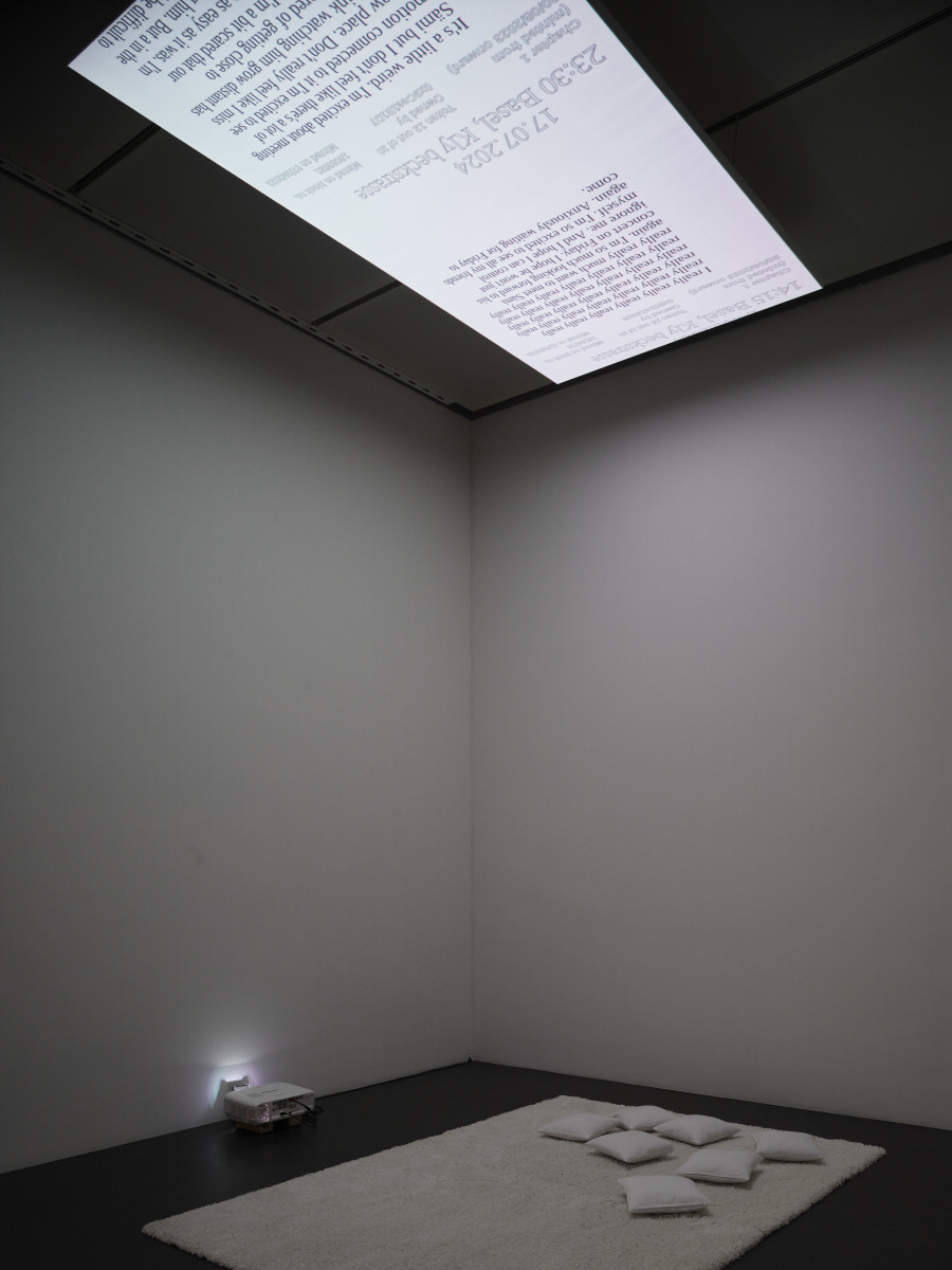 Exhibition view, zentral!, Amanda E. Metzger, Kunstmuseum Luzern, 2023-2024. Photo: Marc Latzel