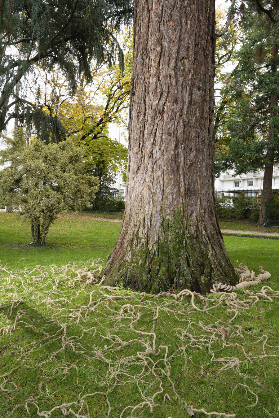 Exhibition view, Voies d’évasion, The artistic journeys of former EBAG preparatory class students, Villa du Parc, 2024. Photo credit: Aurélien Mole