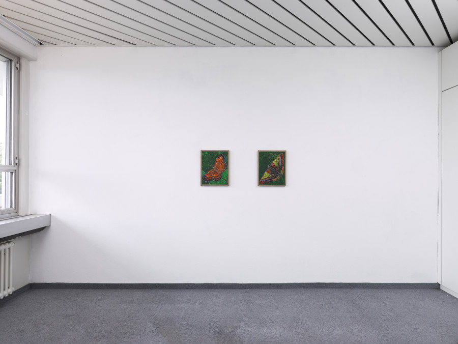 Exhibition view, Matteo Callegari, Mother, flatmarkus, Kilchberg / Zürich, 2024. Photo credit: Felix Jungo. Courtesy of the artist and flatmarkus